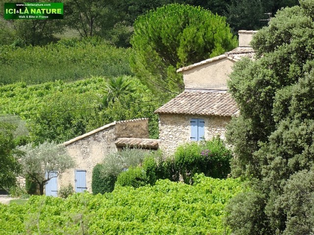 49-provence photo landscape