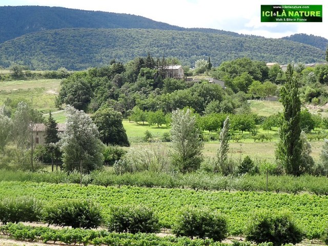 50-provence landscape image