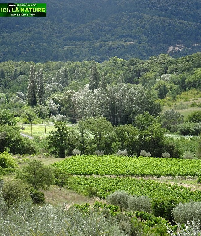51-provence landscape photo