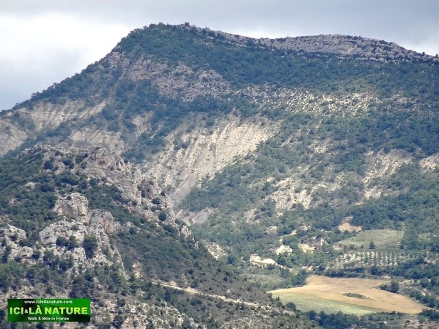 55-mountain france photo mont ventoux
