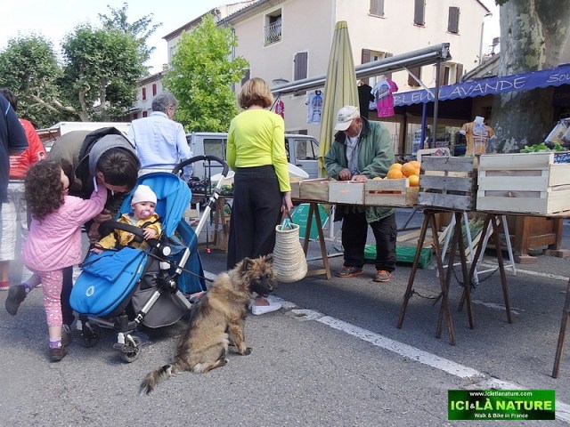 60-provence market mountain mont ventoux