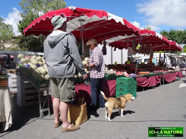 74-market in provence
