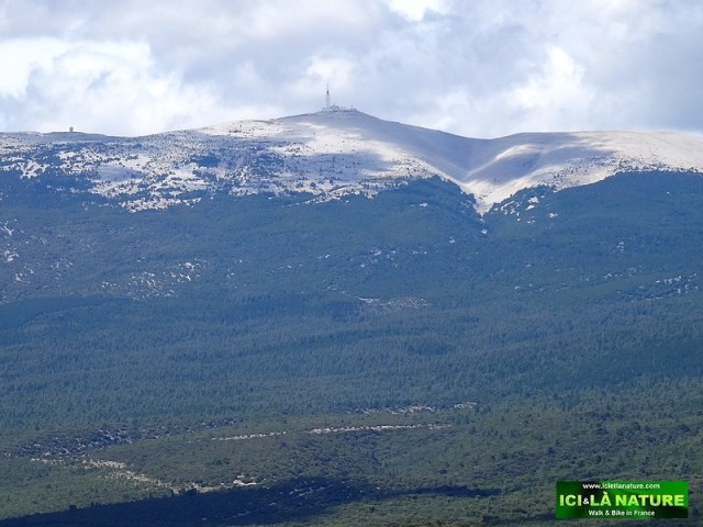 75-Biking mont ventoux
