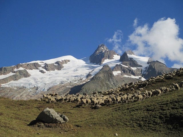 ici et là nature tour du Mont Blanc walk and bike in France