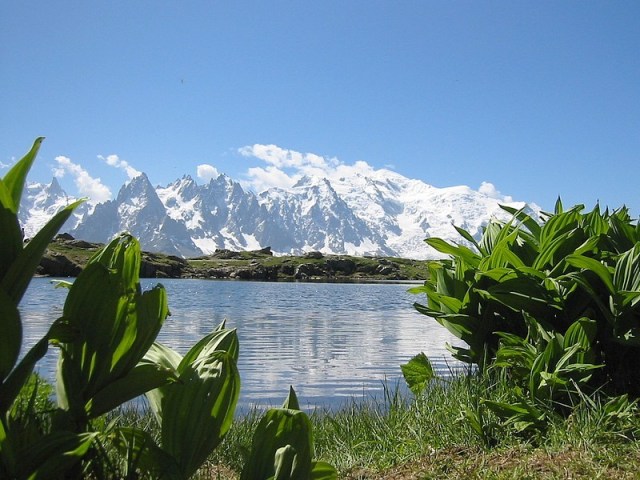 France - Alps - Tour du Mont Blanc Circuit - Self-guided