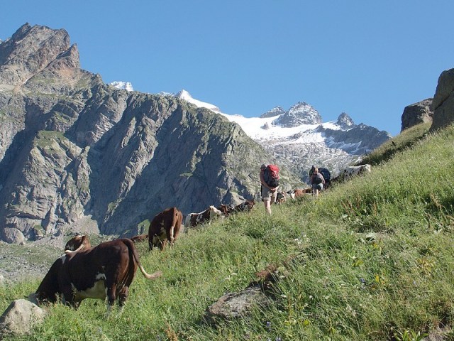 ici et là nature pictures mountains walk and bike in france