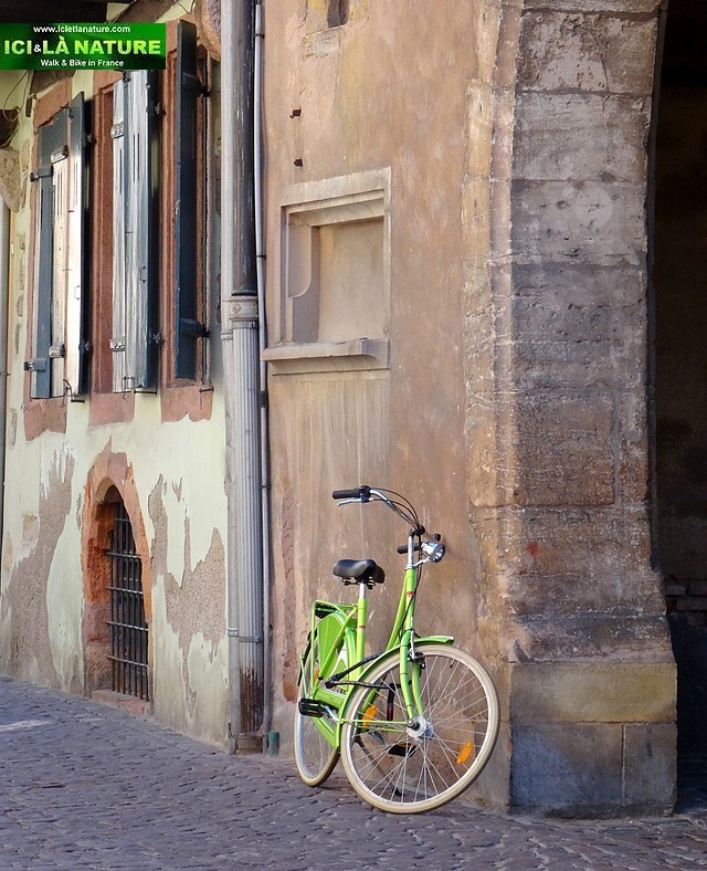 24-yellow bike colmar