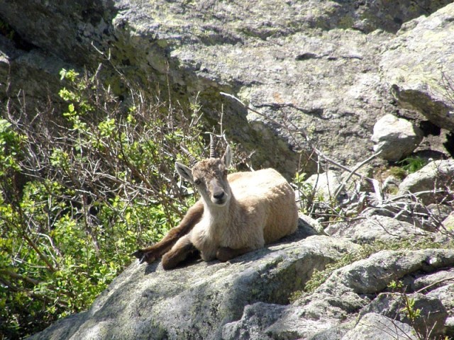 ici et là nature pictures walk and bike in france