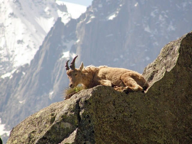 ici et là nature pictures walk and bike in france