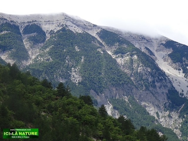 53-biking mont ventoux provence