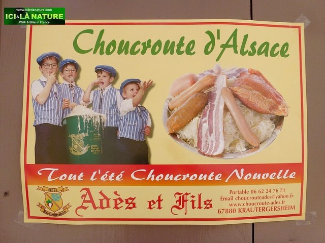 65-gastronomy alsace choucroute