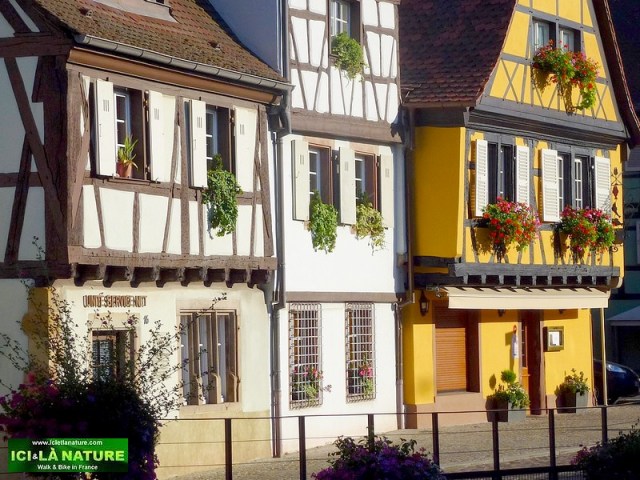 83-rues de colmar maisons alsaciennes