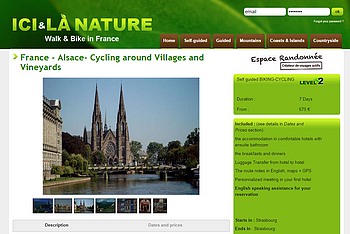 France-alsace-cycling around villages and vineyards