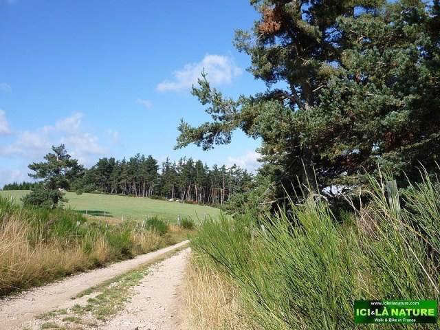 04-stevenson trail lozere