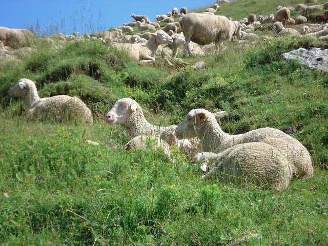 06-mountains in france alps chartreuse hiking tour