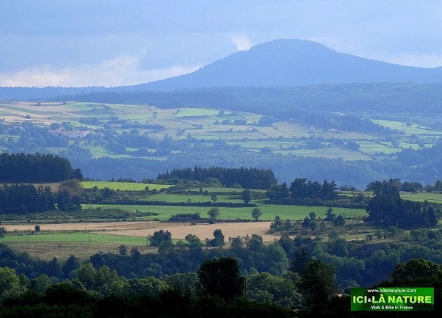 11-stevenson walking trail