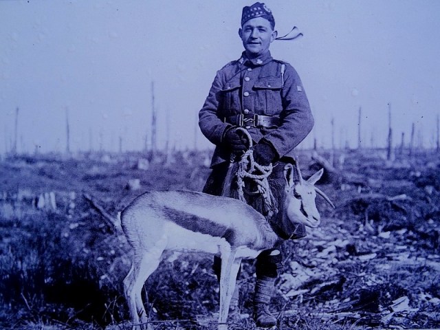 ici et la nature walk and bike in france