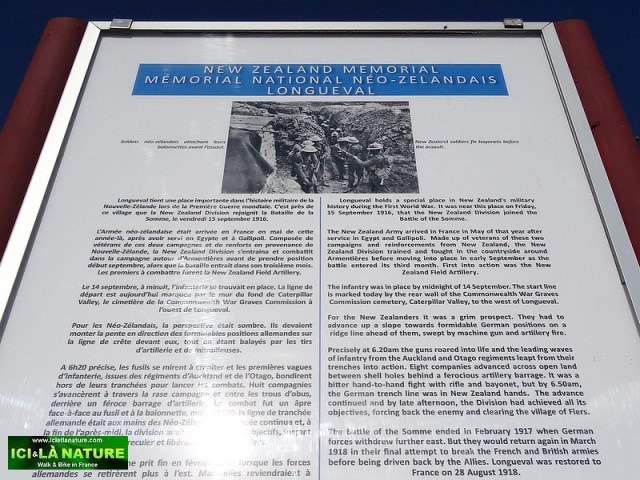 30-new zealand world war 1914-1918 in france