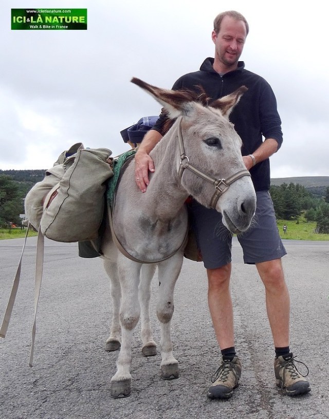 32-walking the way of stevenson with a donkey