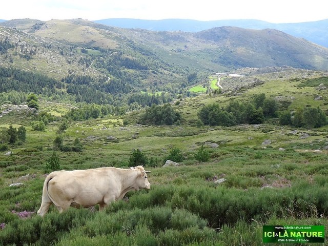 37-hiking the stevenson' s trail GR 70