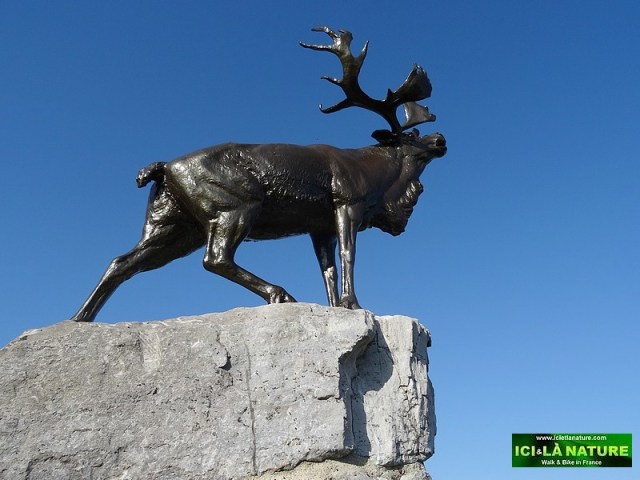 43-battle somme canadian soldiers 1914-1918