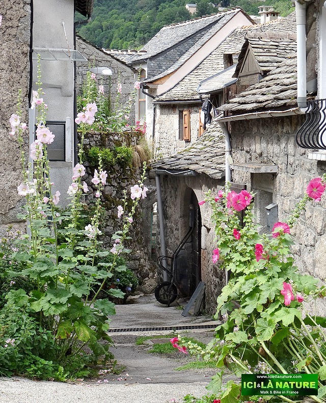 58-GR 70 walking cevennes france stevenson