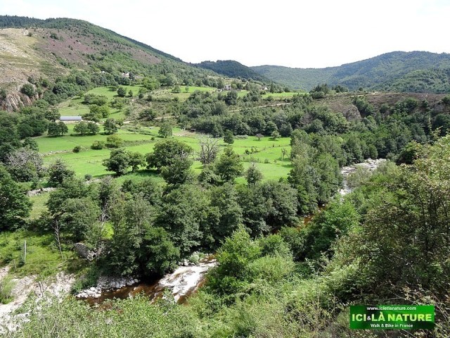 61-walking the trail of stevenson in france