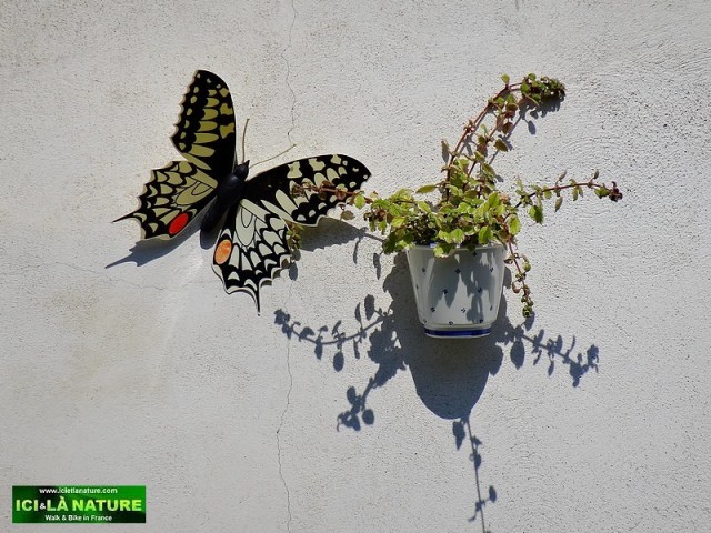 65-florac stevenson way GR 70 FRANCE