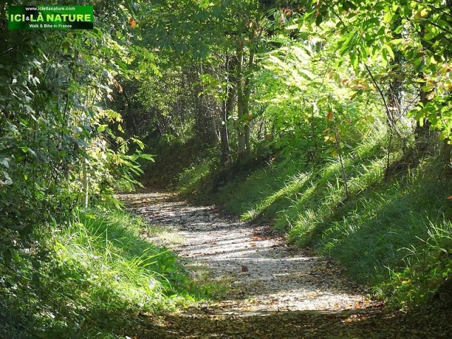66-american monument chateau-thierry france