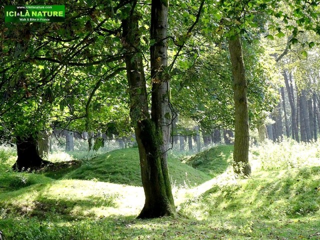 69-vimy trenches canadian remembrance 1914-1918