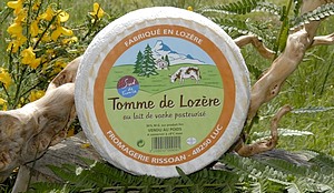 77-mountains cheese france stevenson trail