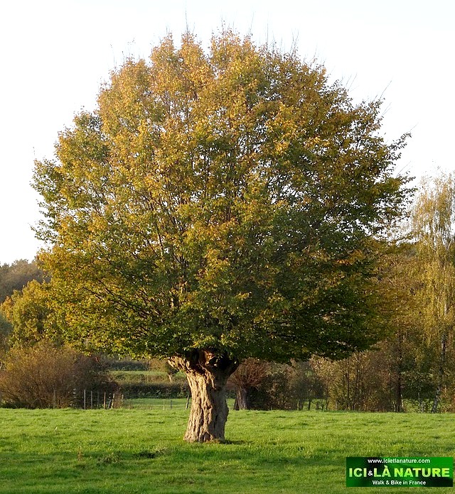 92-wilfred owen death