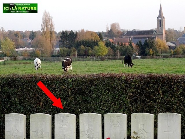wilfred owen war poetry grave final resting france