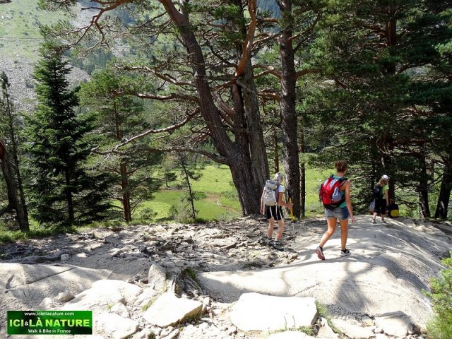 37-mountain path france