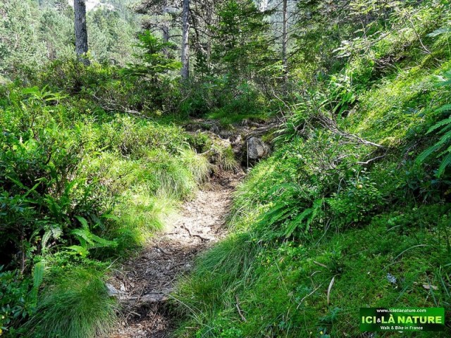39-pyrenees mountains path