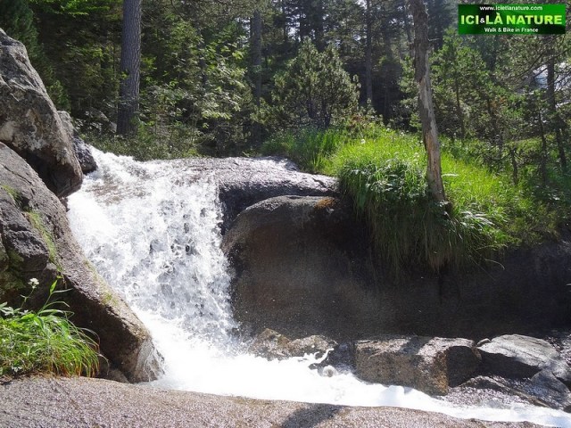 43- foret torrent pyrenees