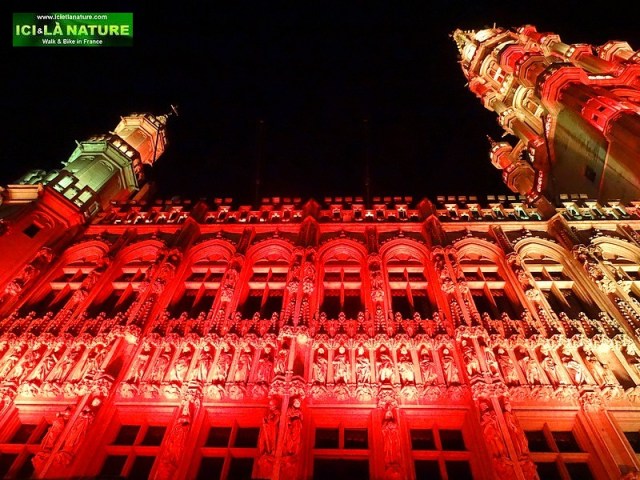 50-Brussels city hall