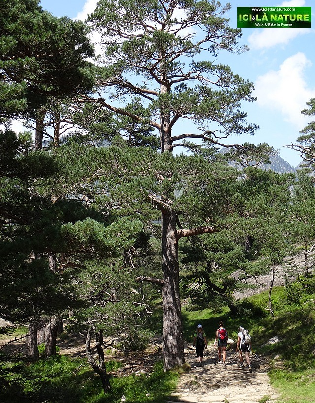 50-walking france mountains trip