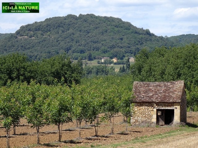 59-landscape dordogne perigord france