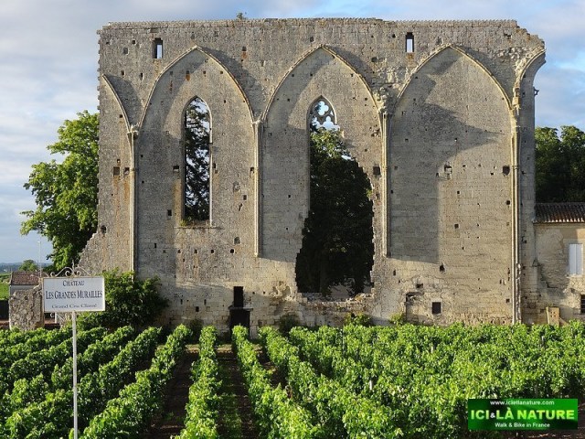 33-saint emilion wine chateau les grandes murailles