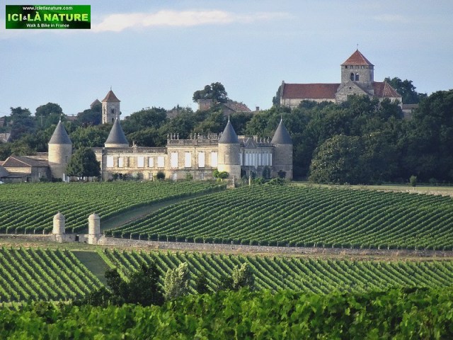 35-bordeaux saint emilion paysage