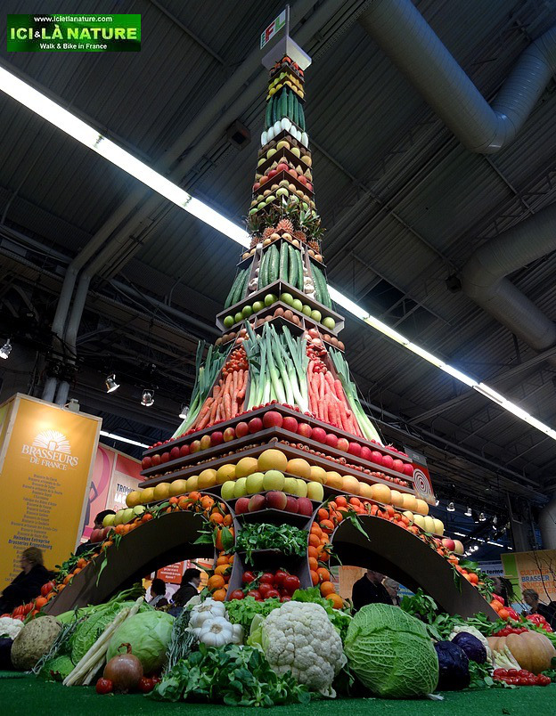 49-eiffel tower walking paris