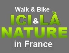 provence walking biking holidays