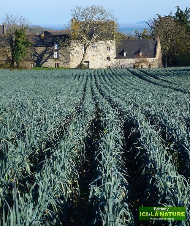 01-bike tours in brittany