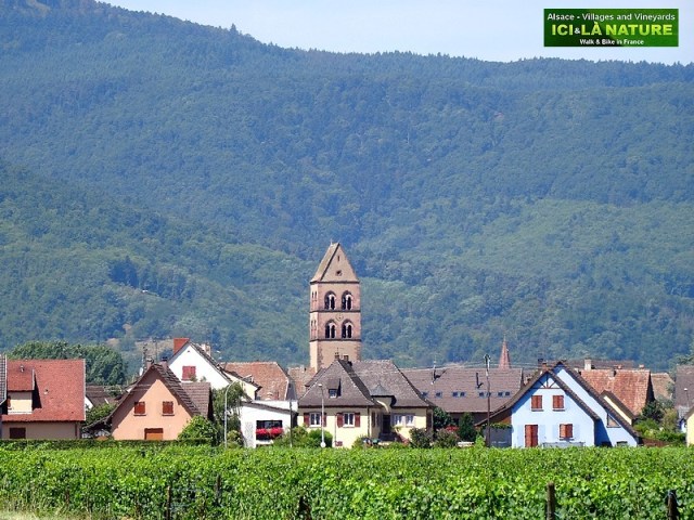 02-alsace cycling travel