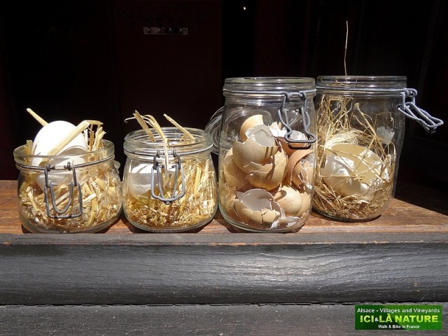 05- hiking biking trip alsace