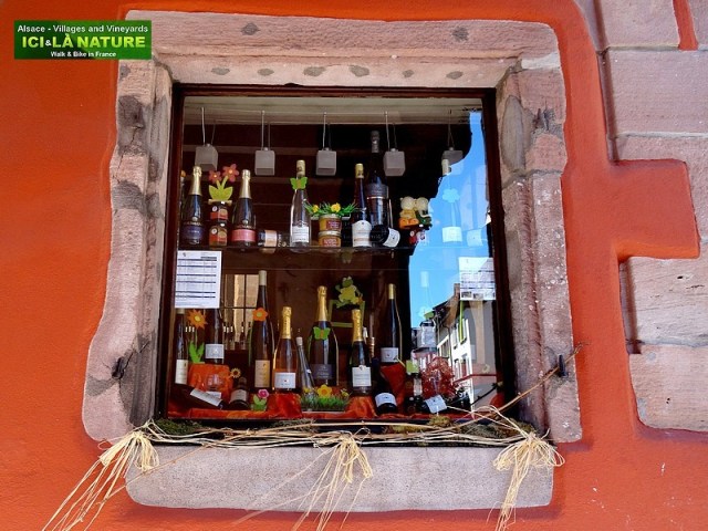 08-biking tour alsace vineyards