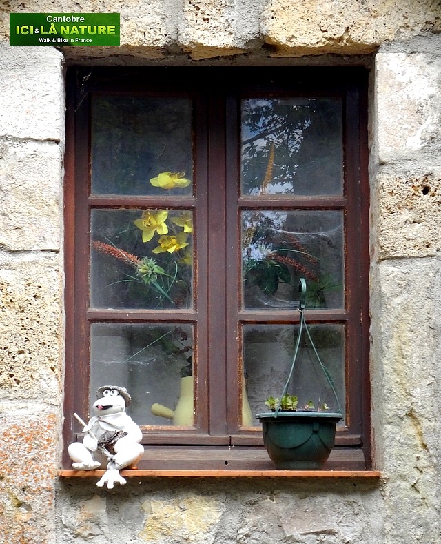10-window cantobre