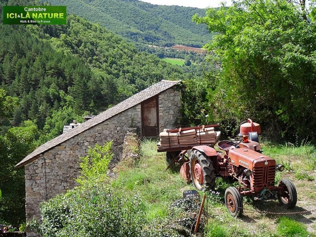 24-vieux tracteur massey ferguson