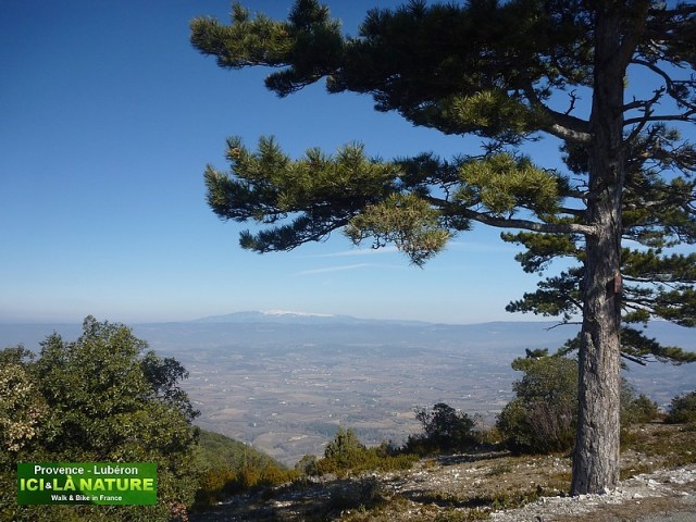 26-provence landscape image mont ventoux